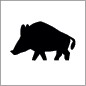Wildschweinweg